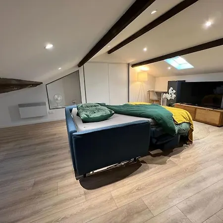 Kiss Cool - Loft En Centre * Saint-Dizier