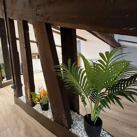 Kiss Cool - Loft En Centre Apartment