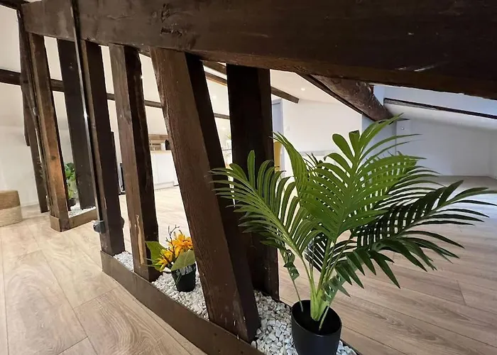 Kiss Cool - Loft En Centre Appartement